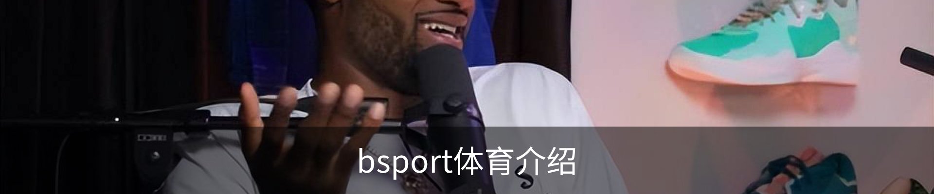bsport体育介绍